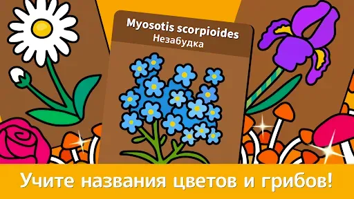 Скриншот 4 — Сад: Раскраска для детей