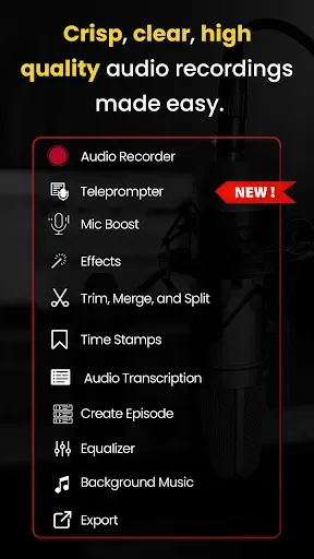 Скриншот 1 — AudiOn:Voice Recorder & Editor