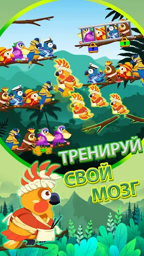 Скриншот 3 — Сортировка Птиц 2: Головоломка