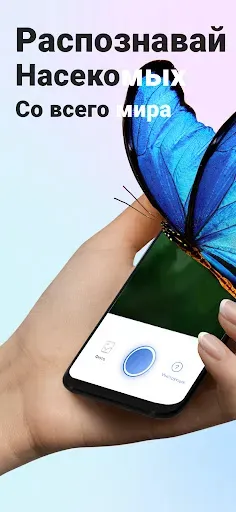 Скриншот 1 — Picture Insect: Bug Identifier