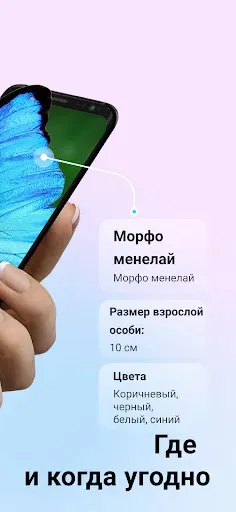 Скриншот 2 — Picture Insect: Bug Identifier