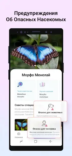 Скриншот 3 — Picture Insect: Bug Identifier
