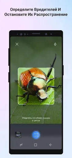 Скриншот 4 — Picture Insect: Bug Identifier