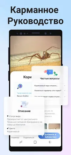 Скриншот 5 — Picture Insect: Bug Identifier