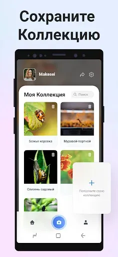 Скриншот 6 — Picture Insect: Bug Identifier
