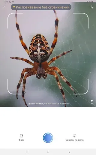Скриншот 7 — Picture Insect: Bug Identifier
