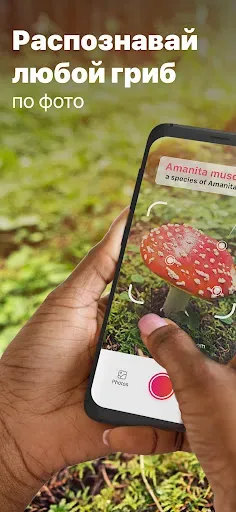Скриншот 1 — Picture Mushroom - Mushroom ID