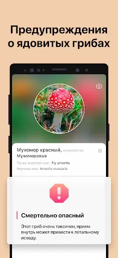 Скриншот 3 — Picture Mushroom - Mushroom ID