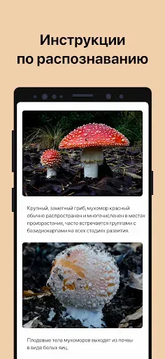 Скриншот 4 — Picture Mushroom - Mushroom ID