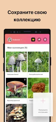 Скриншот 5 — Picture Mushroom - Mushroom ID