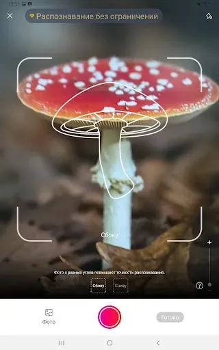 Скриншот 6 — Picture Mushroom - Mushroom ID