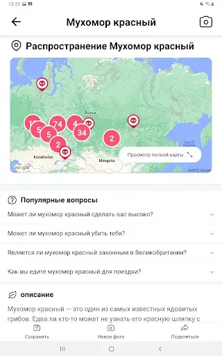 Скриншот 8 — Picture Mushroom - Mushroom ID