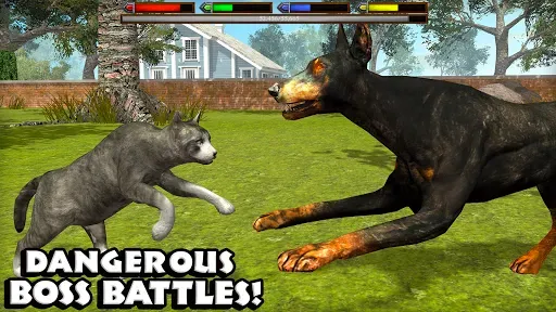 Скриншот 5 — Ultimate Cat Simulator