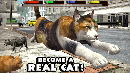 Скриншот 6 — Ultimate Cat Simulator