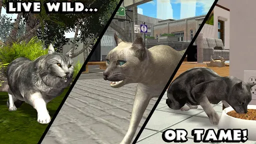 Скриншот 8 — Ultimate Cat Simulator