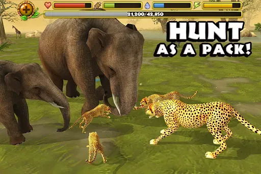 Скриншот 2 — Cheetah Simulator