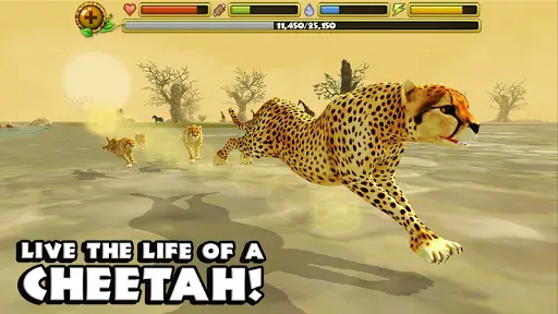 Скриншот 6 — Cheetah Simulator