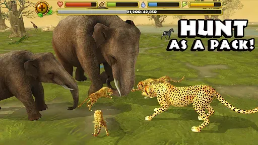 Скриншот 7 — Cheetah Simulator
