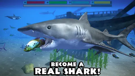 Скриншот 1 — Ultimate Shark Simulator