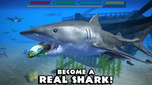 Скриншот 6 — Ultimate Shark Simulator