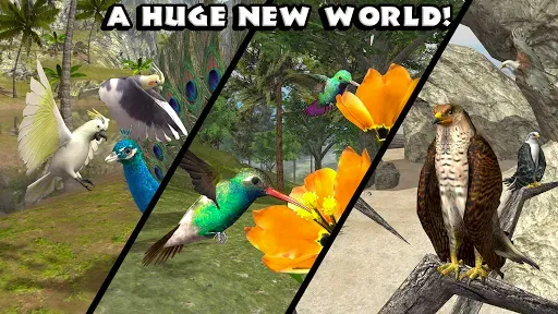 Скриншот 5 — Ultimate Bird Simulator