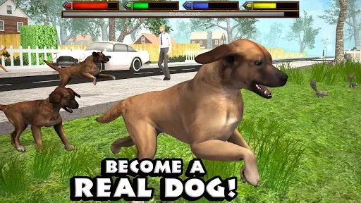 Скриншот 1 — Ultimate Dog Simulator