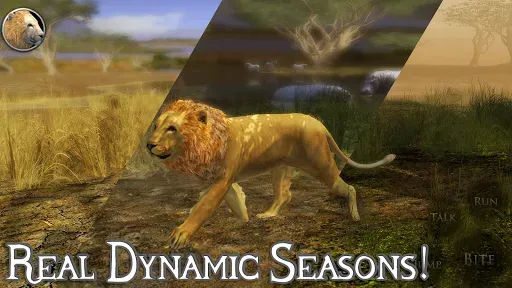 Скриншот 4 — Ultimate Lion Simulator 2
