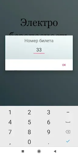 Скриншот 3 — Электробезопасность тест