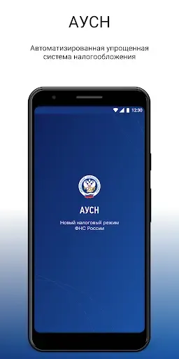 Скриншот 6 — АУСН ФНС России