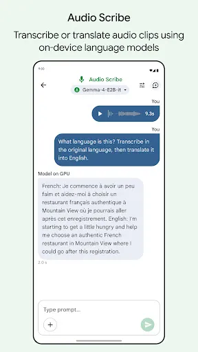 Скриншот 5 — Google AI Edge Gallery