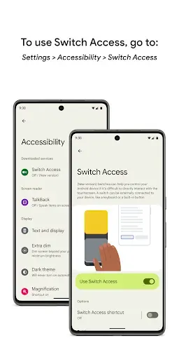 Скриншот 2 — Switch Access
