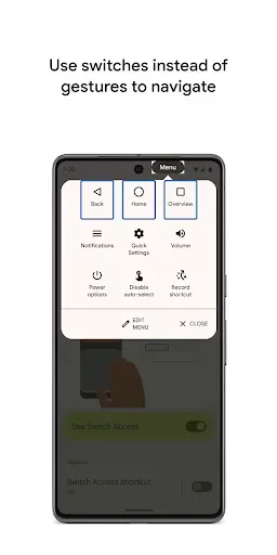 Скриншот 5 — Switch Access