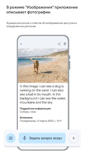 Скриншот 5 — Lookout – компьютерное зрение