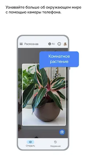 Скриншот 6 — Lookout – компьютерное зрение