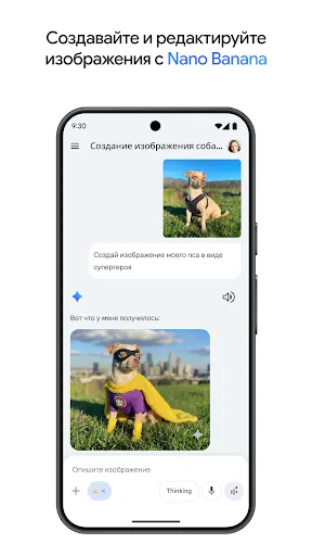 Скриншот 1 — Google Gemini
