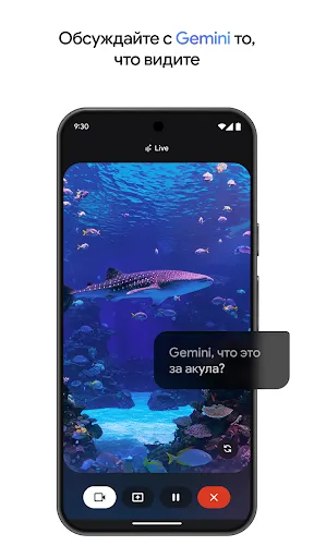 Скриншот 3 — Google Gemini