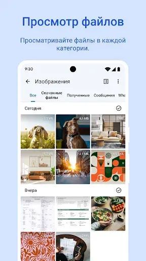 Скриншот 2 — Google Files