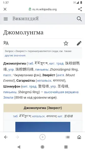 Скриншот 3 — Google Go