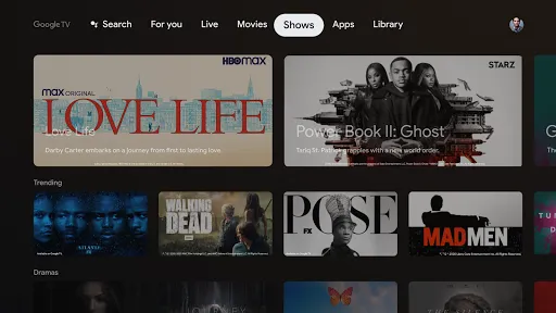 Скриншот 7 — Google TV Home
