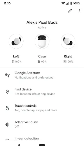 Скриншот 1 — Google Pixel Buds