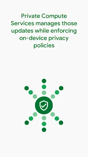 Скриншот 4 — Private Compute Services