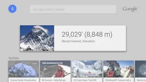 Скриншот 8 — Google app for Android TV