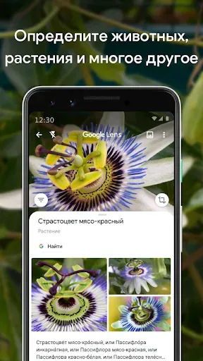 Скриншот 3 — Google Объектив