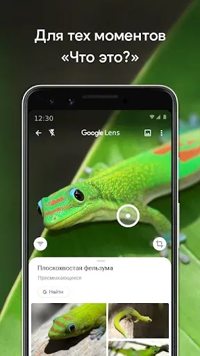 Скриншот 7 — Google Объектив