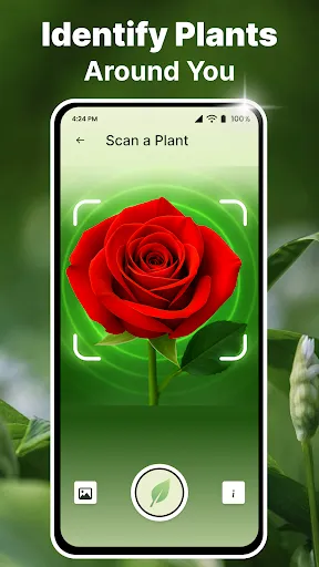 Скриншот 2 — AI Plant Identifier & Scanner