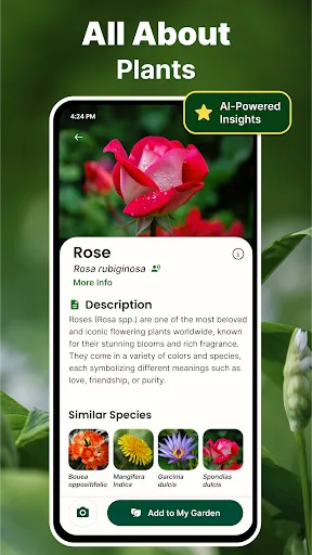 Скриншот 3 — AI Plant Identifier & Scanner