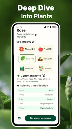 Скриншот 4 — AI Plant Identifier & Scanner