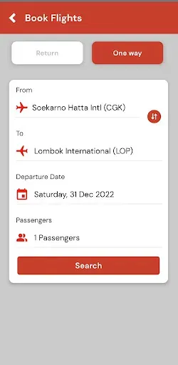 Скриншот 2 — Lion Air