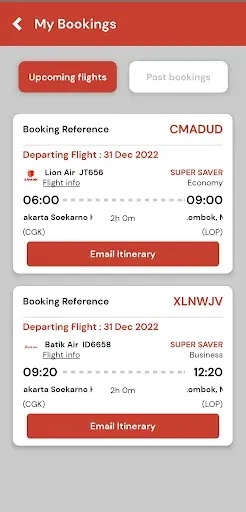 Скриншот 5 — Lion Air