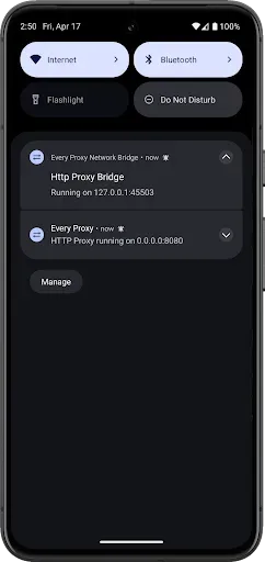 Скриншот 4 — Every Proxy Network Bridge